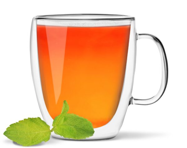 Kubek z podwójną ścianką Amo 480 ml 25851