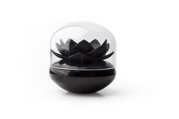 Pojemnik na patyczki do uszu Lotus czarny 10157-BK-BK