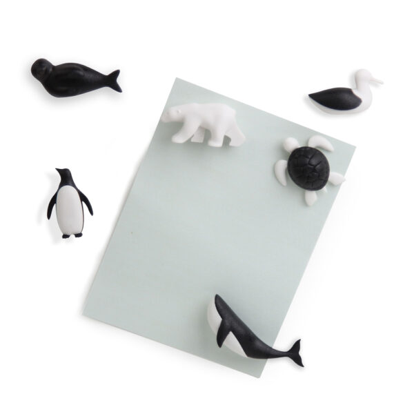 Magnesy Sava The Ocean 10311-BK-WH